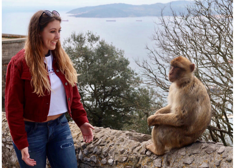 monkeys in Gibraltar