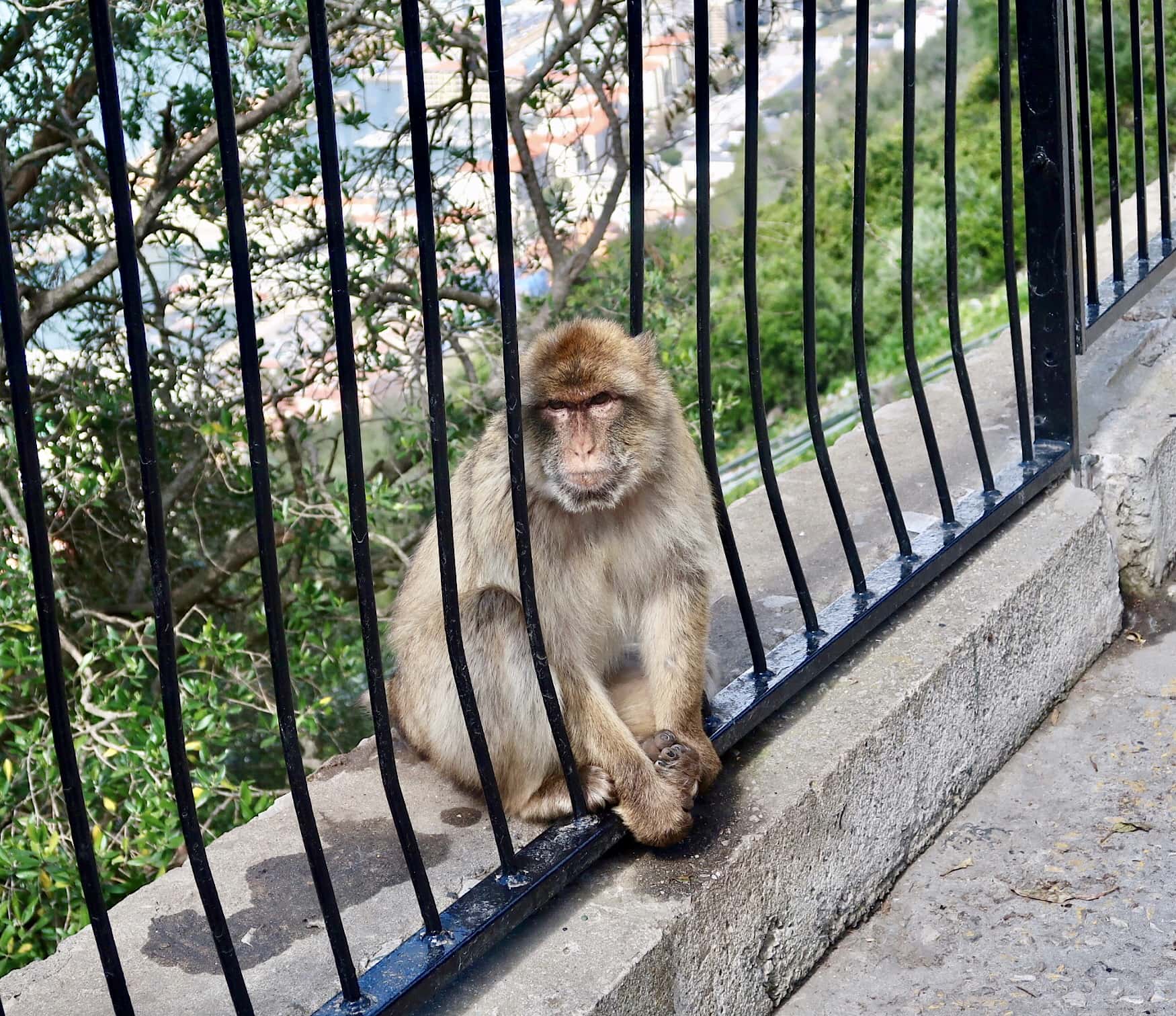 one day in Gibraltar