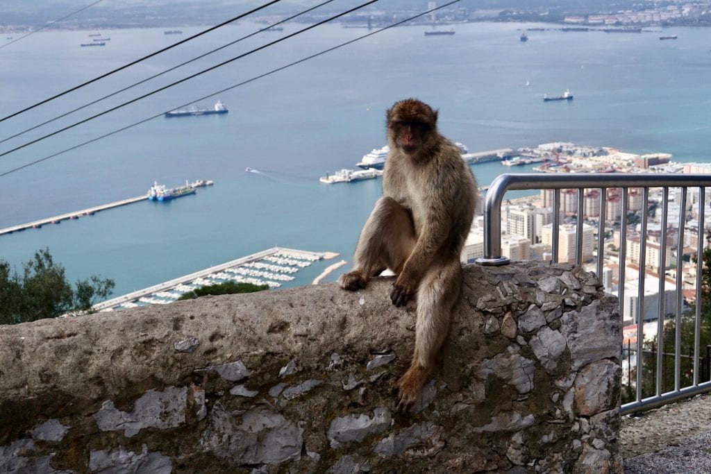 one day in Gibraltar