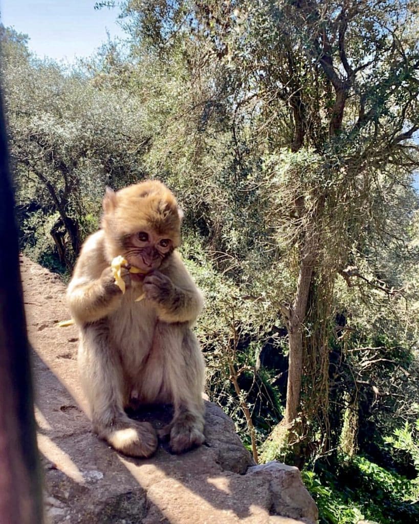 one day in Gibraltar