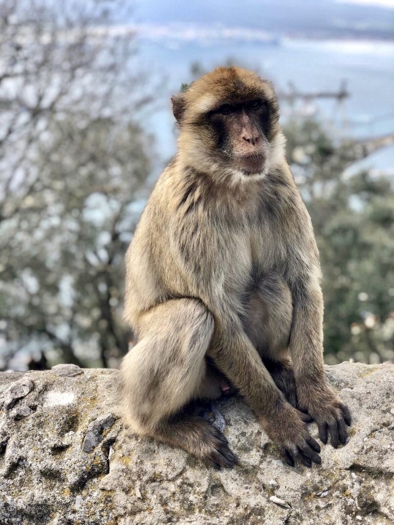 un día en Gibraltar