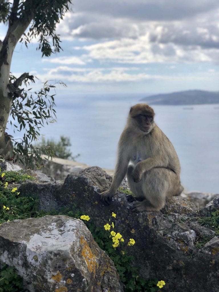 un día en Gibraltar