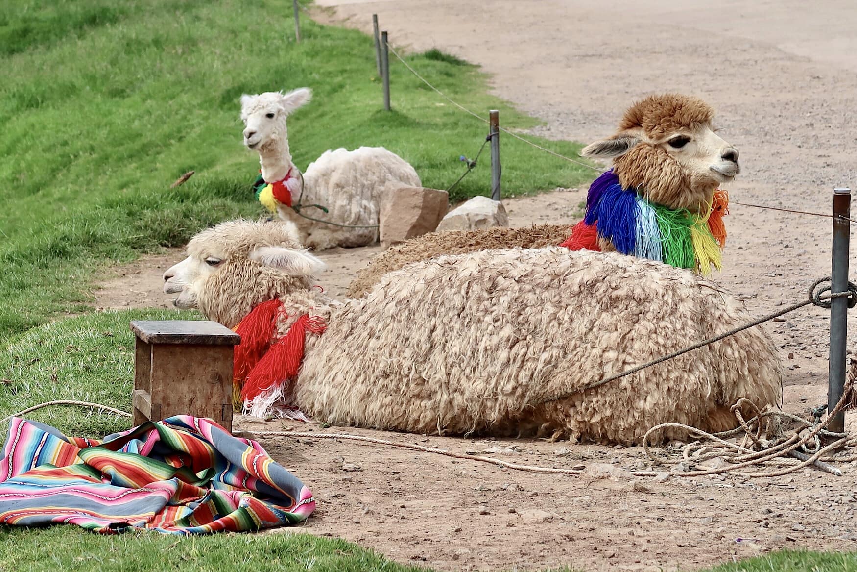 one day in Cusco