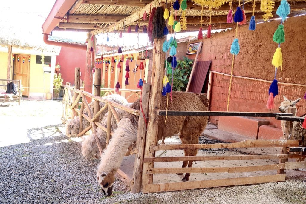 viajes de un día desde Cusco