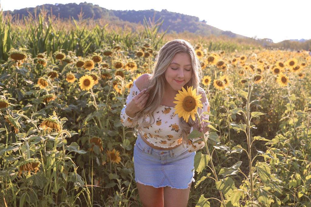 sunflower farm