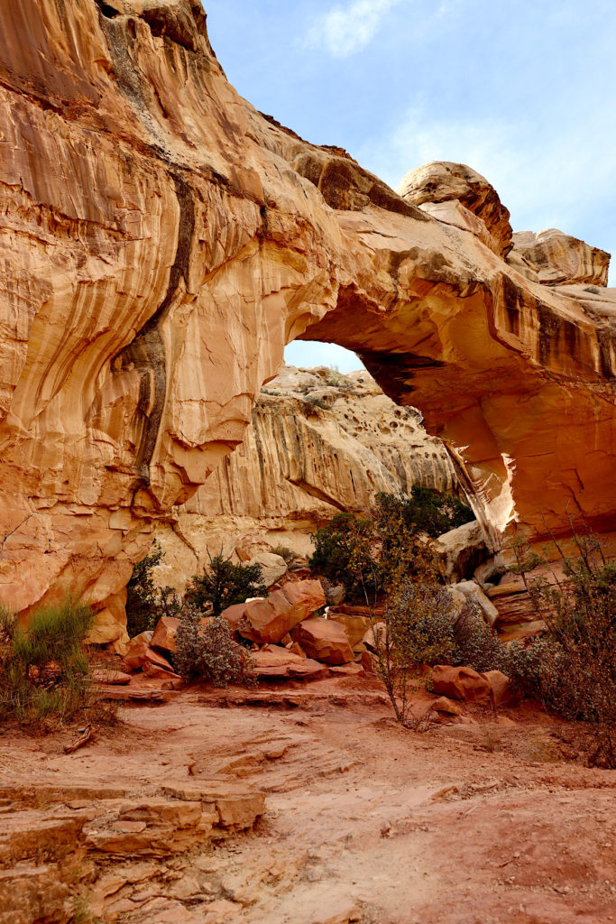 one day in Capitol Reef National Park