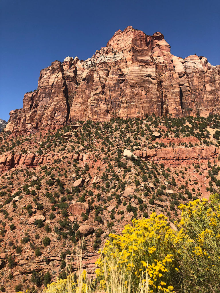 One day in Zion National Park