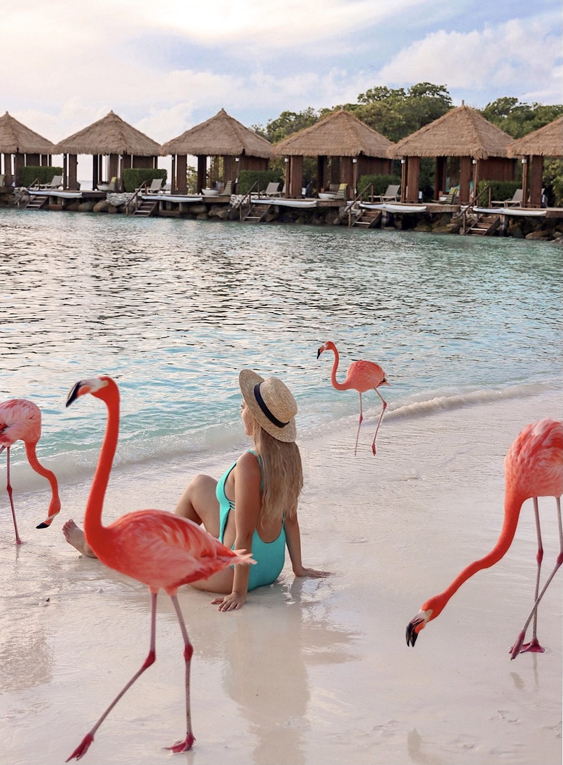 flamingo island aruba