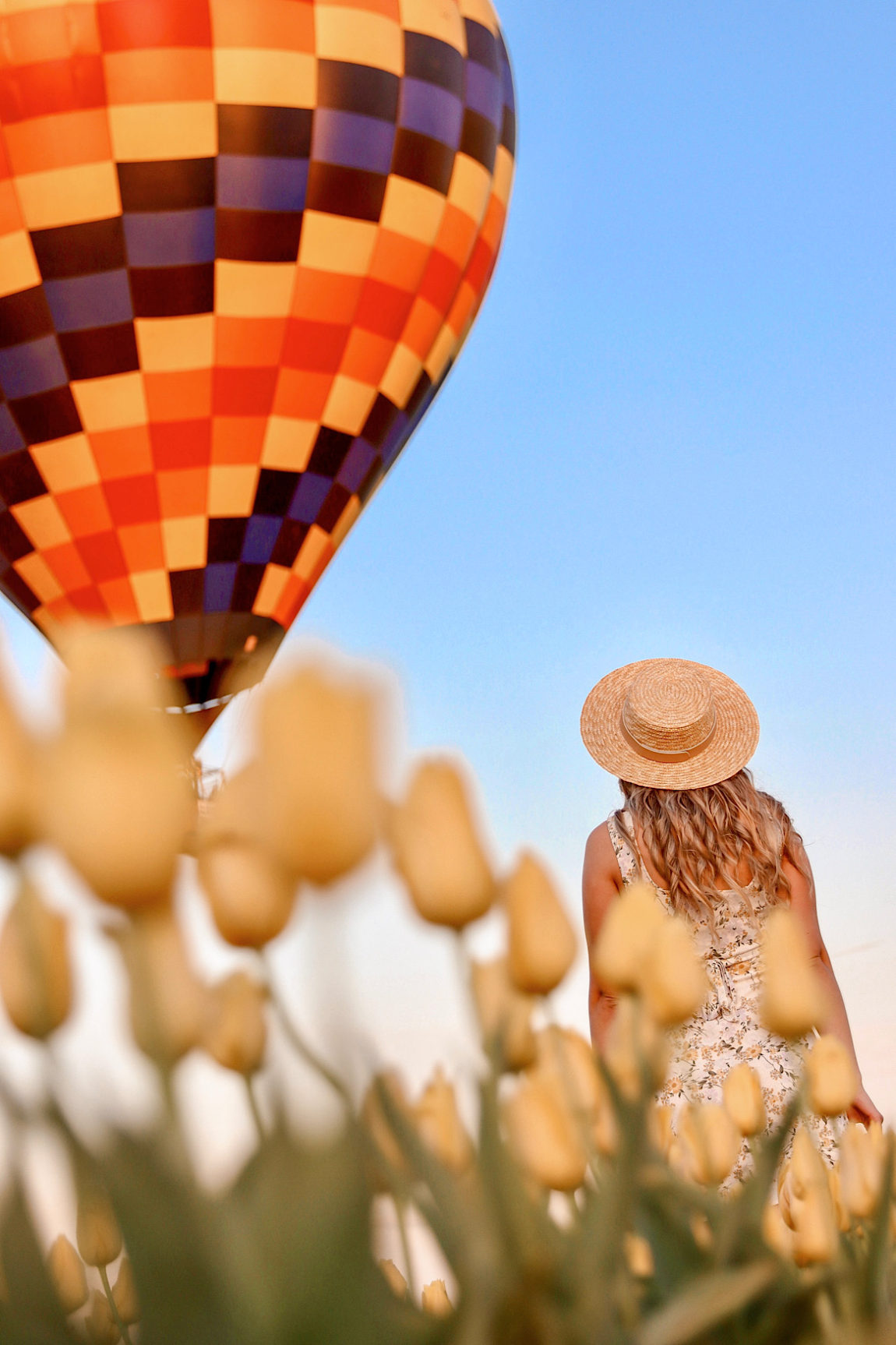 Wooden Shoe Tulips