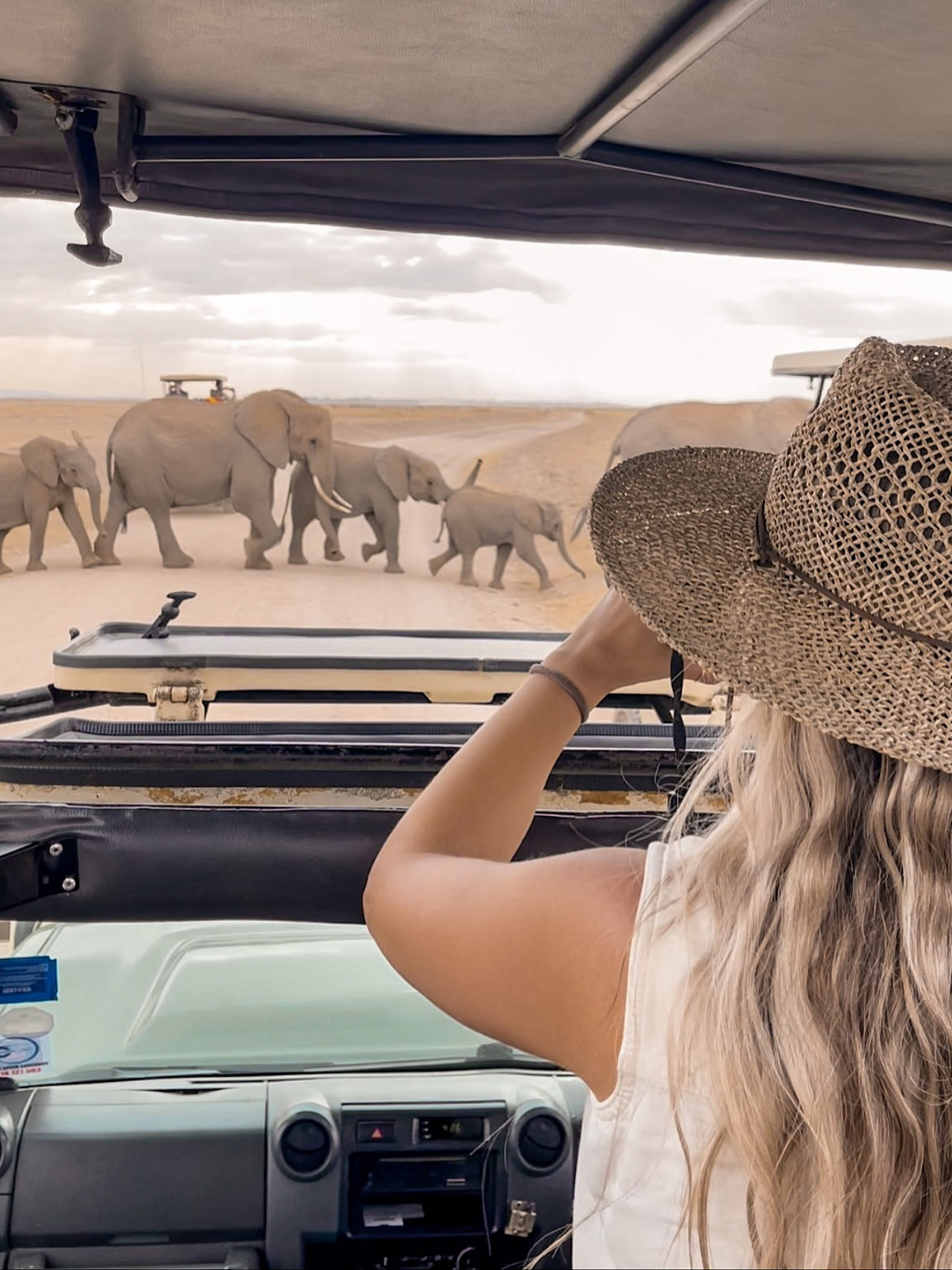 best Kenya safaris