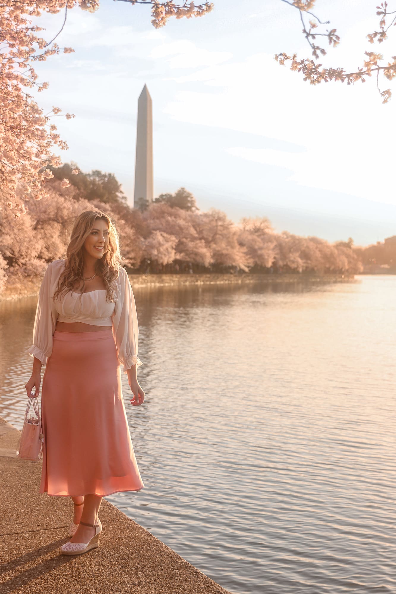 cherry blossoms Washington DC