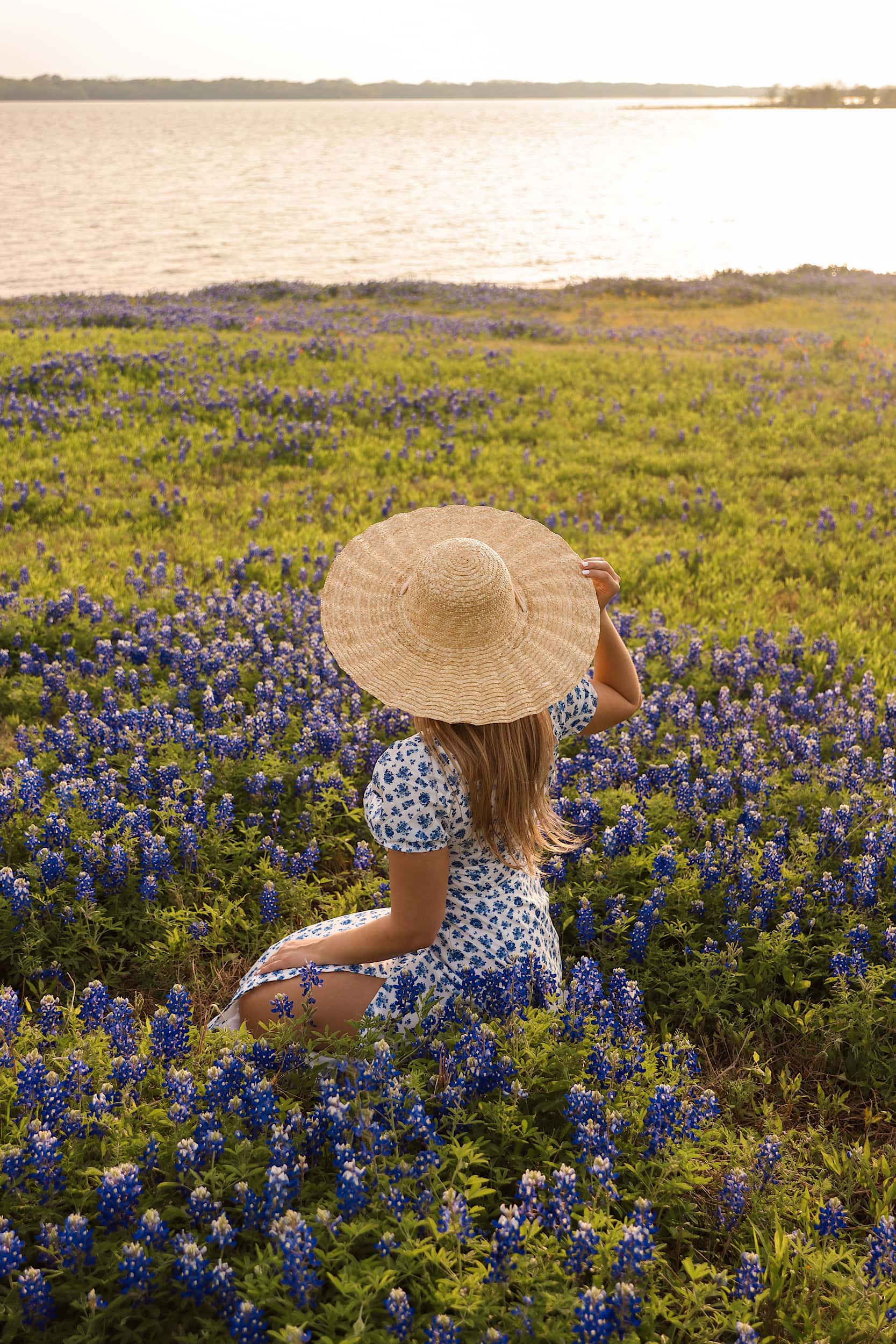 ennis bluebonnets texas