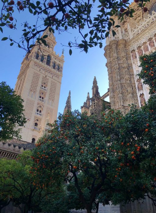 visitar Sevilla